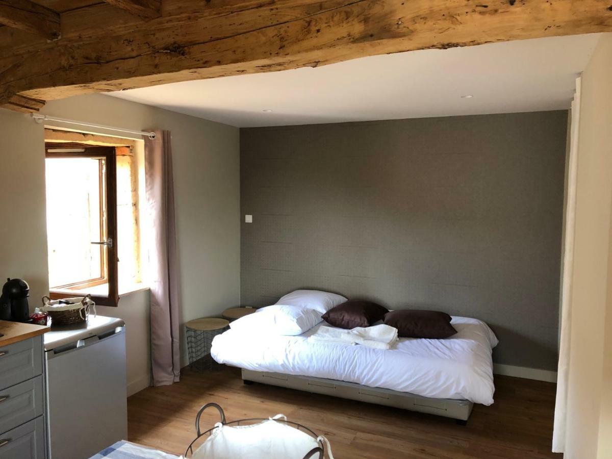 Domaine Des Dutreve Leilighet Saint-Etienne-des-Oullieres Eksteriør bilde